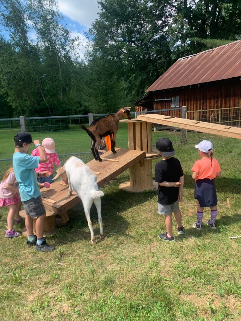 449391390_456897447257834_2705804565186263638_n