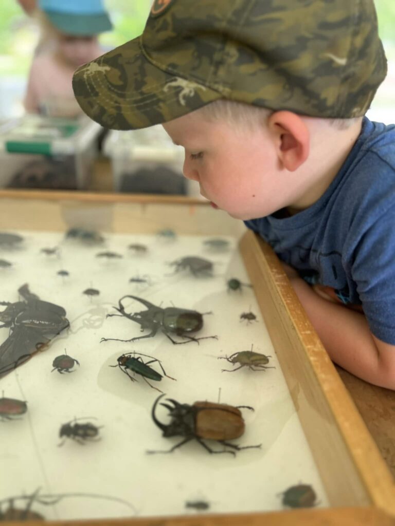 450481111_464113559869556_7827299687803204634_n