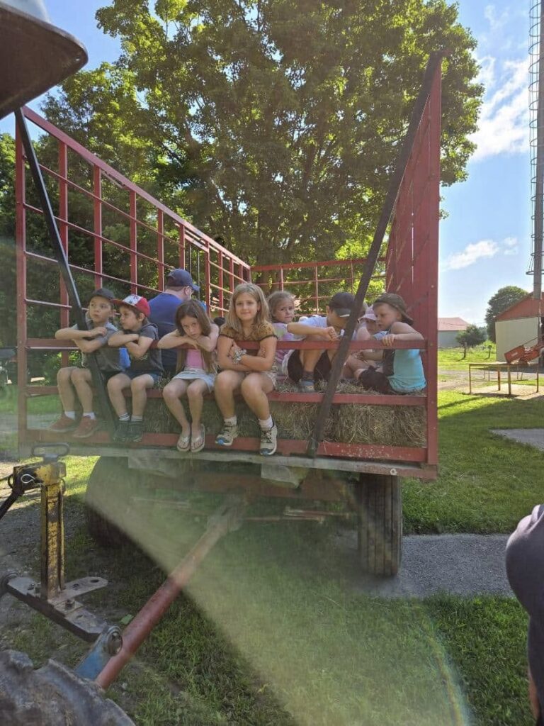 453207435_474939528786959_63053765065071051_n