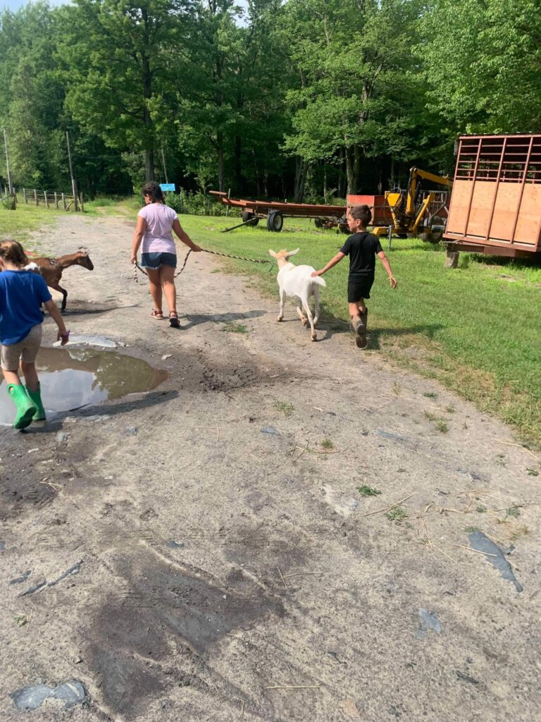 453871385_479374511676794_7073827251862250720_n