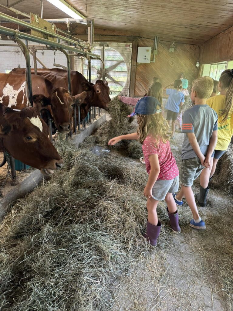 455661661_488665290747716_1829686014321513666_n