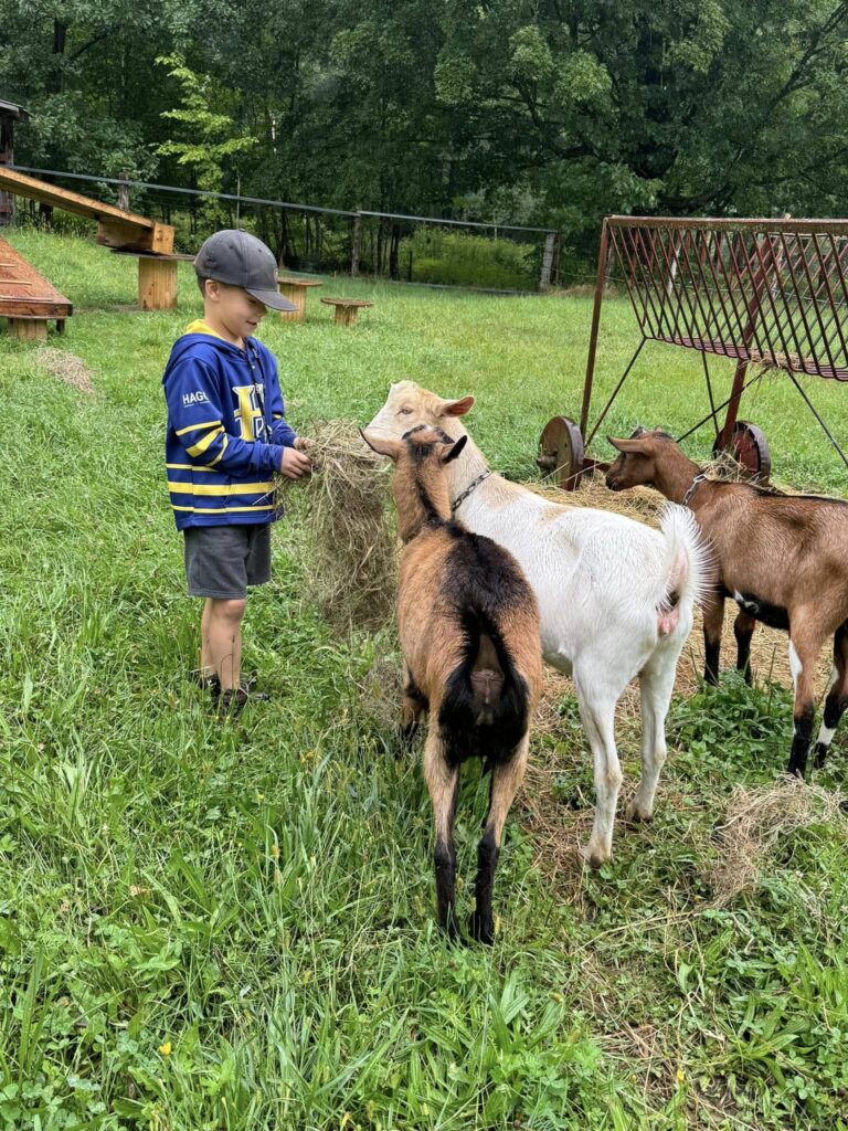 456575602_493434186937493_5385305240788485678_n